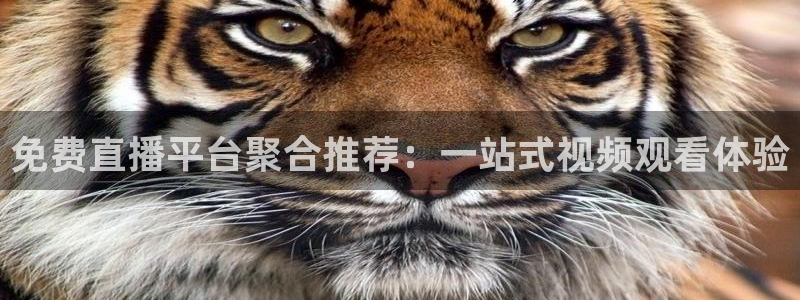 熊猫怎么直播：免费直播平台聚合推荐：一站式视频观看体验