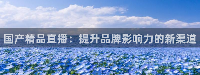 熊猫视频 直播：国产精品直播：提升品牌影响力的新渠道