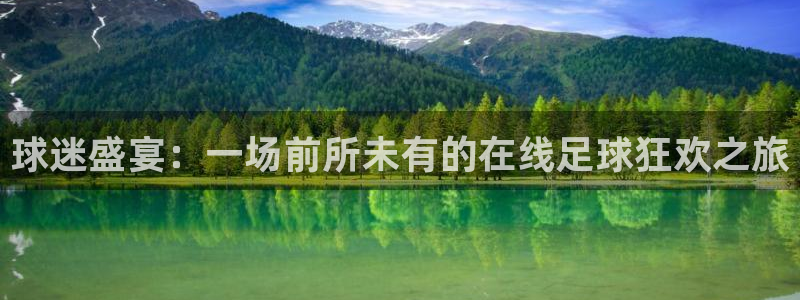 熊猫直播下载官网：球迷盛宴：一场前所未有的在线足球狂欢之旅
