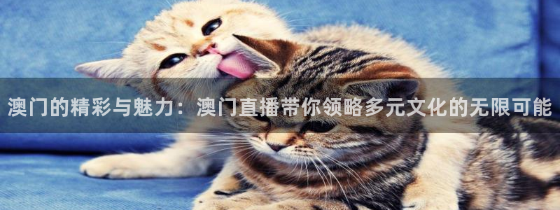 熊猫体育直播新版.新网页.org：澳门的精彩与魅力：澳门直播带你领略多元文化的无限可能