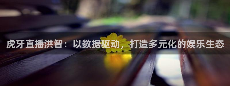 熊猫体育官网：虎牙直播洪智：以数据驱动，打造多元化的娱乐生态