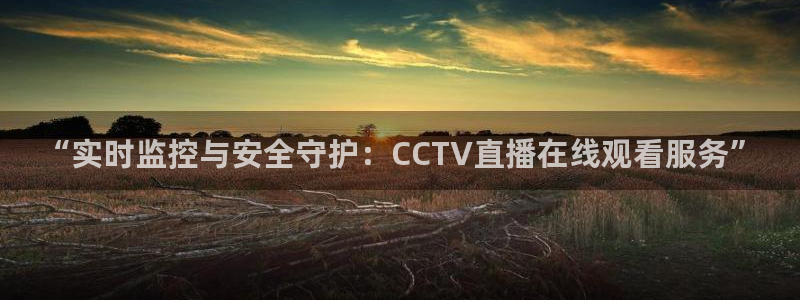 熊猫户外直播：“实时监控与安全守护：CCTV直播在线观看服务”