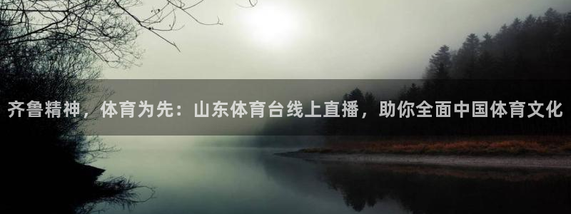 熊猫视：齐鲁精神，体育为先：山东体育台线上直播，助你全面中国体育文化