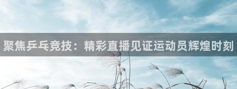 熊猫nba直播视频：聚焦乒乓竞技：精彩直播见证运动员辉煌时刻