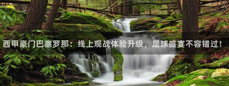熊猫体育手机版：西甲豪门巴塞罗那：线上观战体验升级，足球盛宴不容错过！